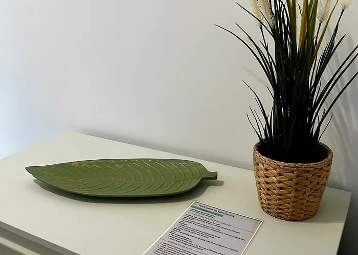 Diocondia Apartamento Nea Plagia